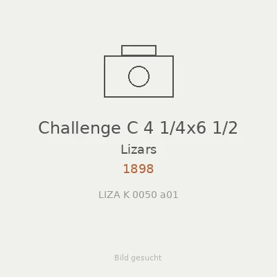 Challenge C 4 1/4x6 1/2