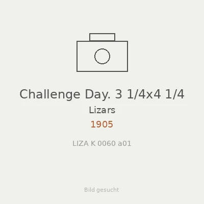 Challenge Day. 3 1/4x4 1/4