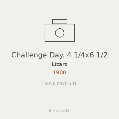 Challenge Day. 4 1/4x6 1/2