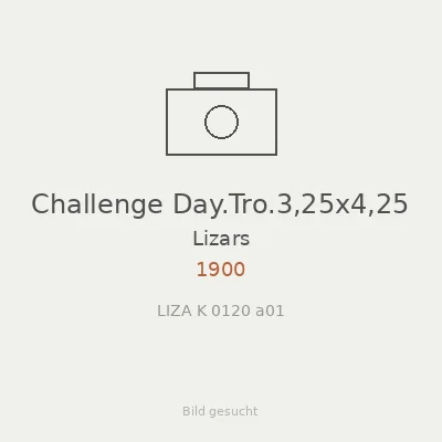 Challenge Day.Tro.3,25x4,25