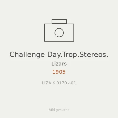 Challenge Day.Trop.Stereos.