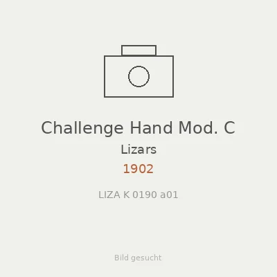 Challenge Hand Mod. C