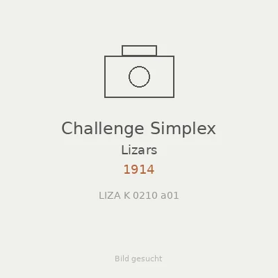 Challenge Simplex
