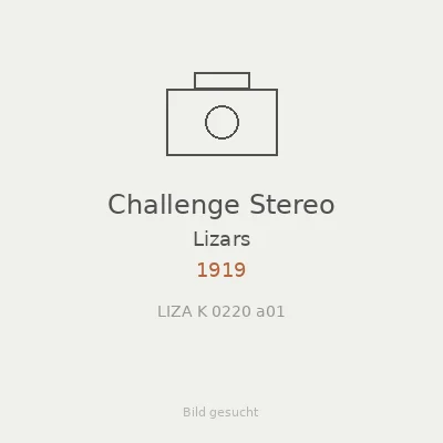 Challenge Stereo