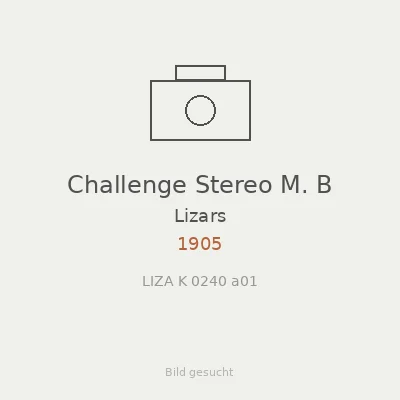 Challenge Stereo M. B