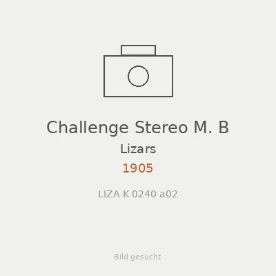 Challenge Stereo M. B