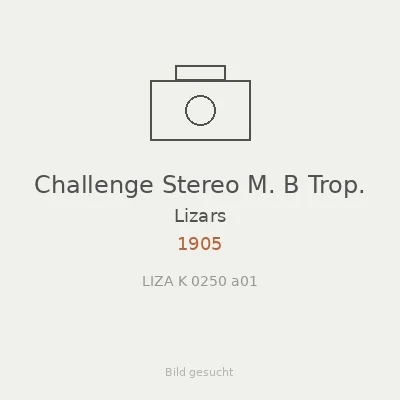 Challenge Stereo M. B Trop.
