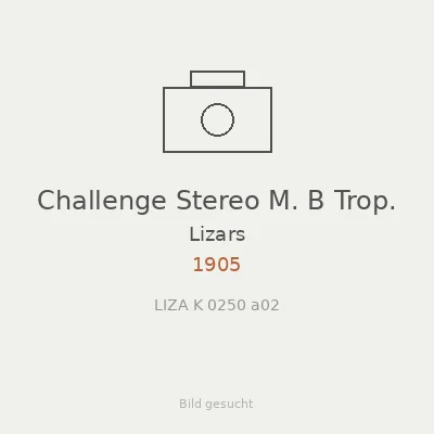 Challenge Stereo M. B Trop.