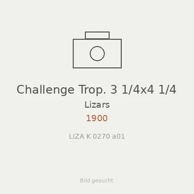 Challenge Trop. 3 1/4x4 1/4