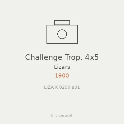 Challenge Trop. 4x5