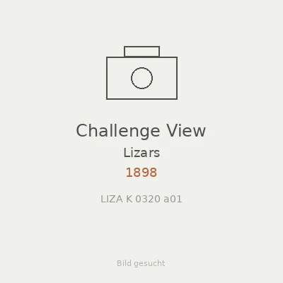 Challenge View