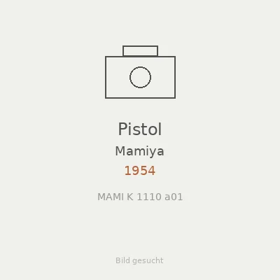 Pistol