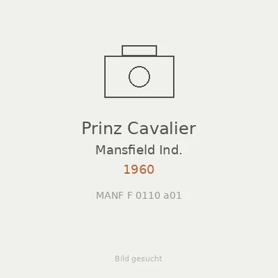 Prinz Cavalier