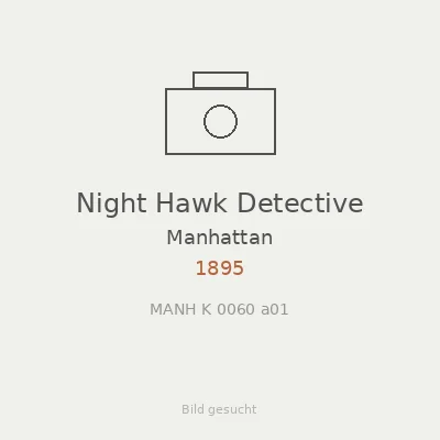 Night Hawk Detective