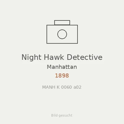 Night Hawk Detective