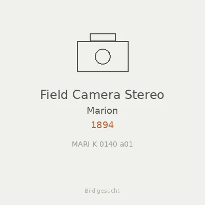 Field Camera Stereo