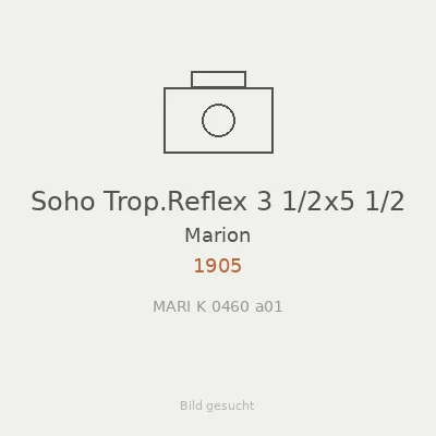 Soho Trop.Reflex 3 1/2x5 1/2