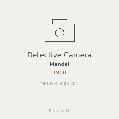 Detective Camera