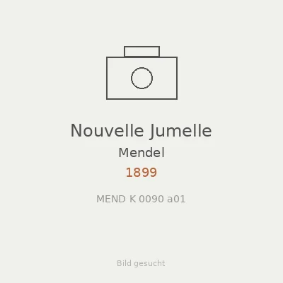 Nouvelle Jumelle