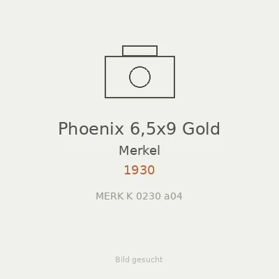 Phoenix 6,5x9 Gold