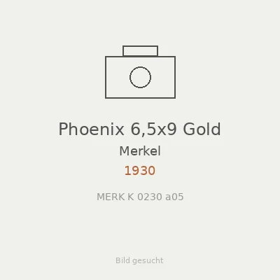 Phoenix 6,5x9 Gold