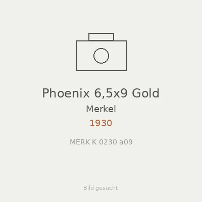 Phoenix 6,5x9 Gold