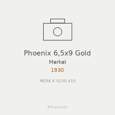 Phoenix 6,5x9 Gold