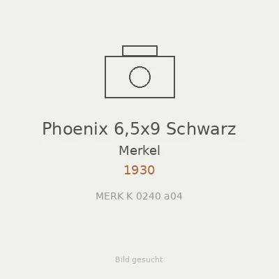 Phoenix 6,5x9 Schwarz