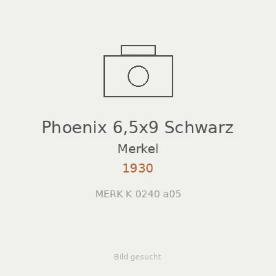 Phoenix 6,5x9 Schwarz