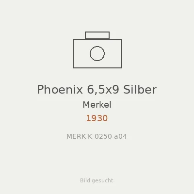 Phoenix 6,5x9 Silber