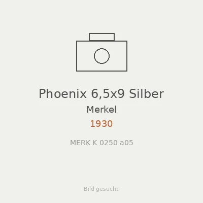 Phoenix 6,5x9 Silber