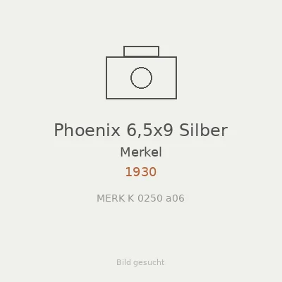 Phoenix 6,5x9 Silber
