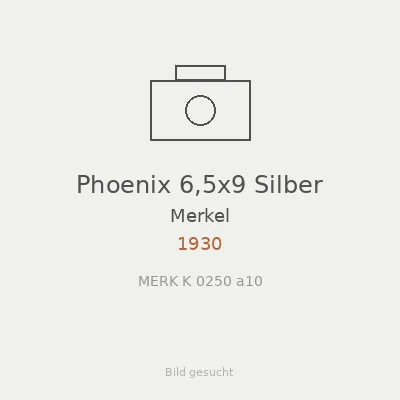 Phoenix 6,5x9 Silber