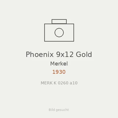Phoenix 9x12 Gold