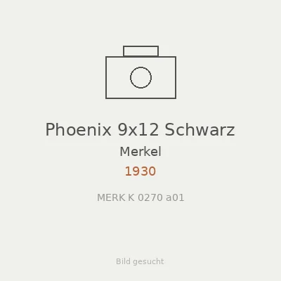 Phoenix 9x12 Schwarz