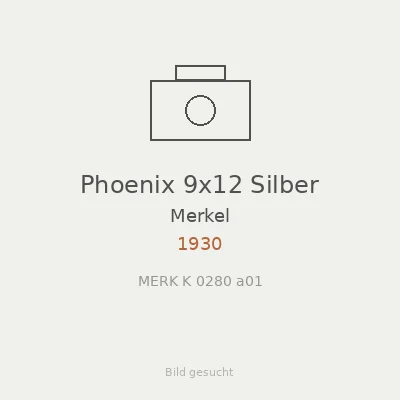 Phoenix 9x12 Silber