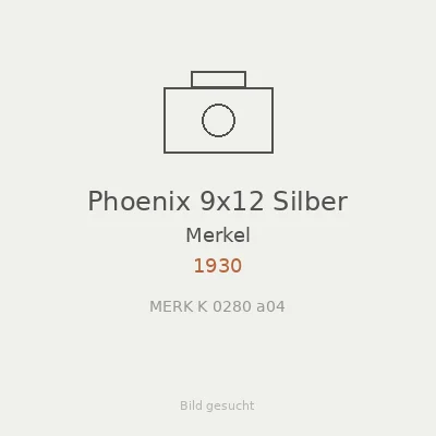 Phoenix 9x12 Silber
