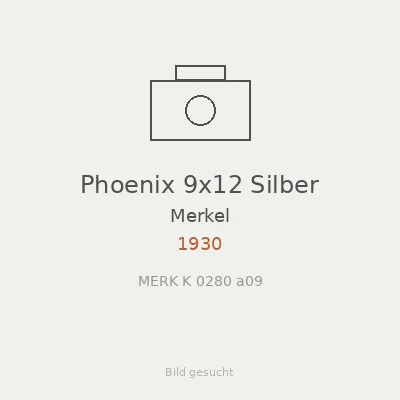 Phoenix 9x12 Silber