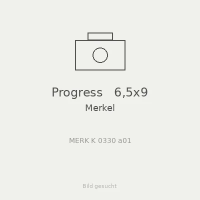 Progress   6,5x9