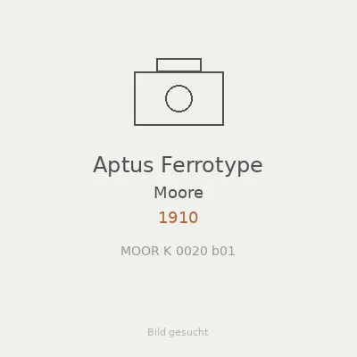 Aptus Ferrotype