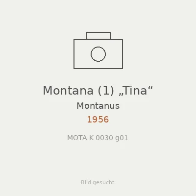 Montana (1) „Tina“