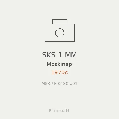 SKS 1 MM