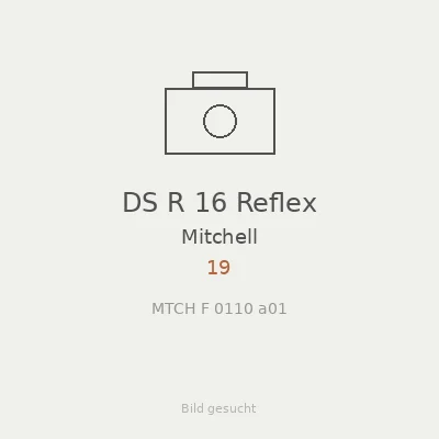 DS R 16 Reflex