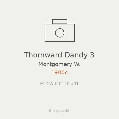 Thornward Dandy 3