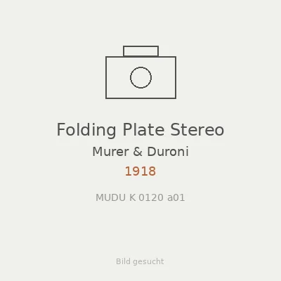 Folding Plate Stereo