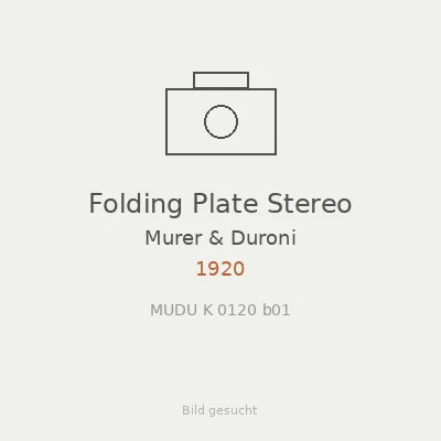 Folding Plate Stereo