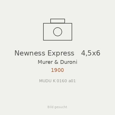 Newness Express   4,5x6