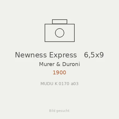 Newness Express   6,5x9