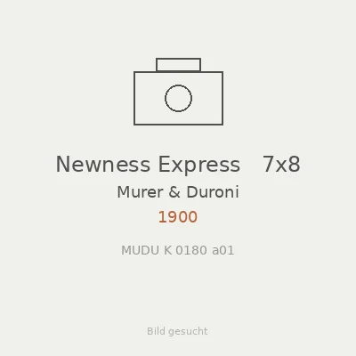 Newness Express   7x8