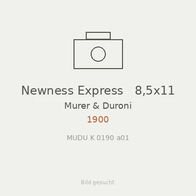 Newness Express   8,5x11